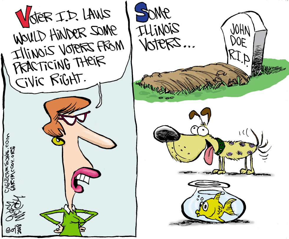 Local-IL Voter ID Laws COLOR