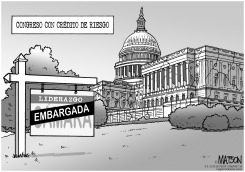 CONGRESO CON CREDITO DE ALTO RIESGO by R.J. Matson