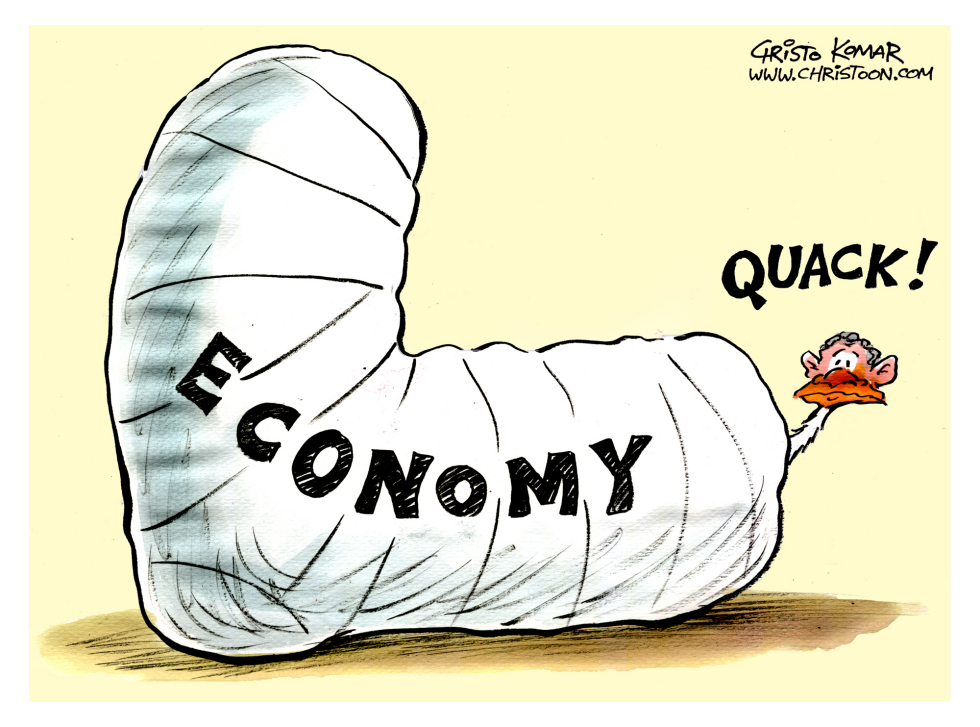 A Very Lame Duck - COLOR