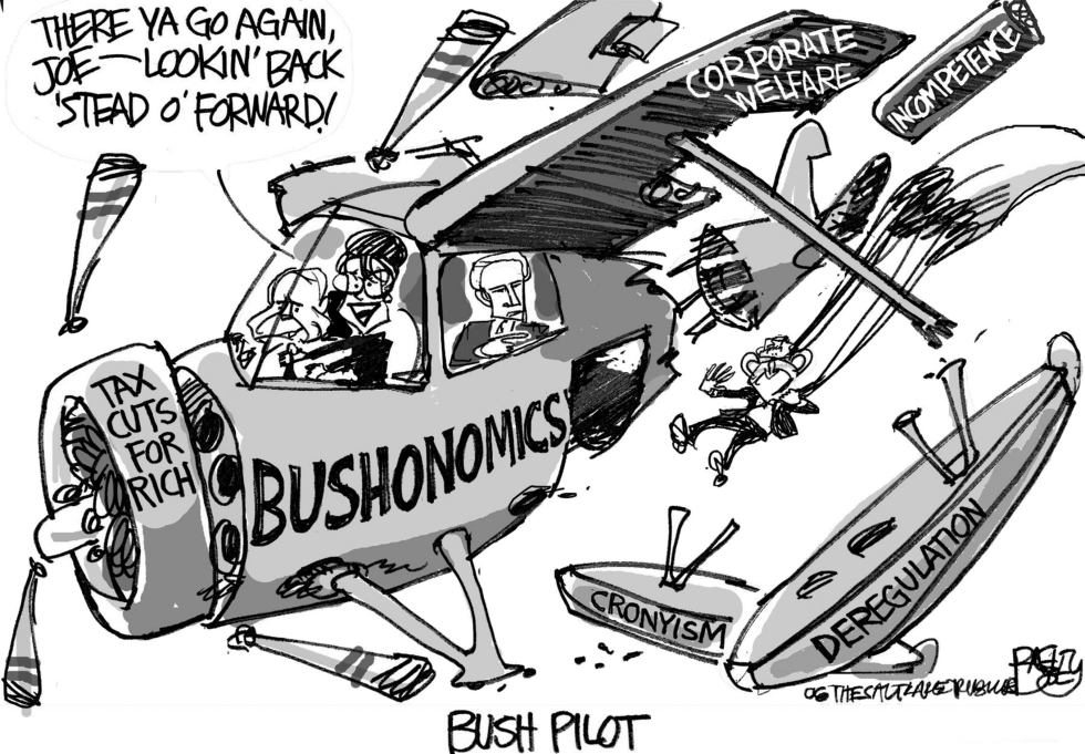Palin Bush Pilot