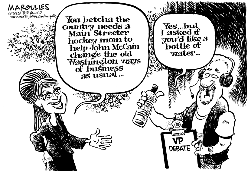 Palin debate performance
