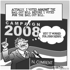 BAIL OUT VOTE EXPLAINED by R.J. Matson