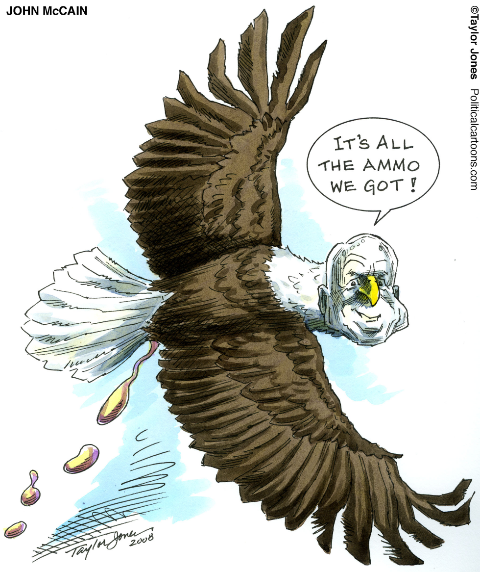 John McCain bombs - COLOR