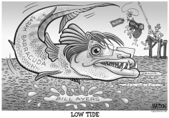 SARAH BARRACUDA AT LOW TIDE by R.J. Matson