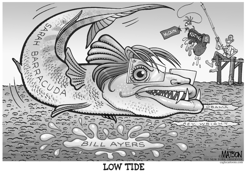 Sarah Barracuda At Low Tide