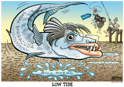 SARAH BARRACUDA AT LOW TIDE by R.J. Matson