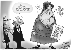 PALIN NOW QUALIFIED FOR VEEP BW by John Cole