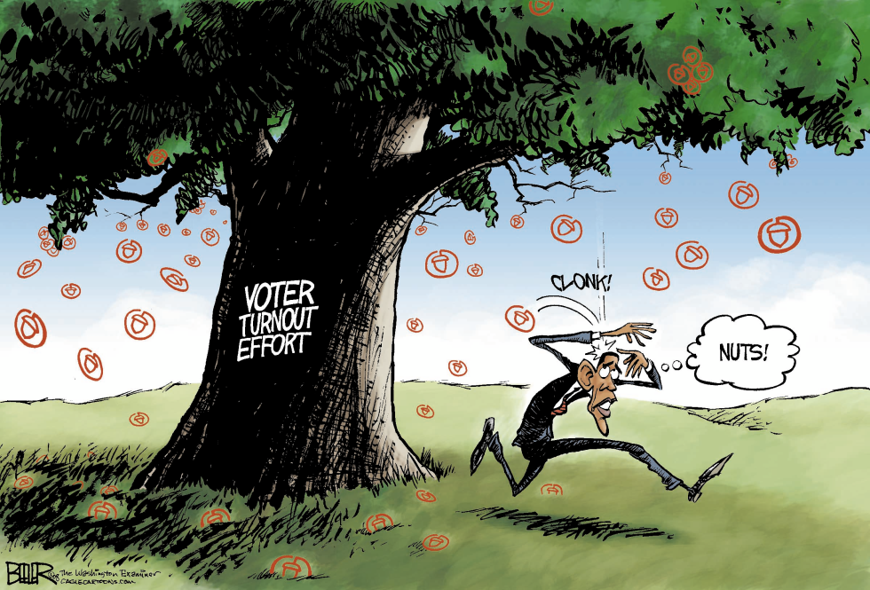 Barack Obama and Acorn COLOR