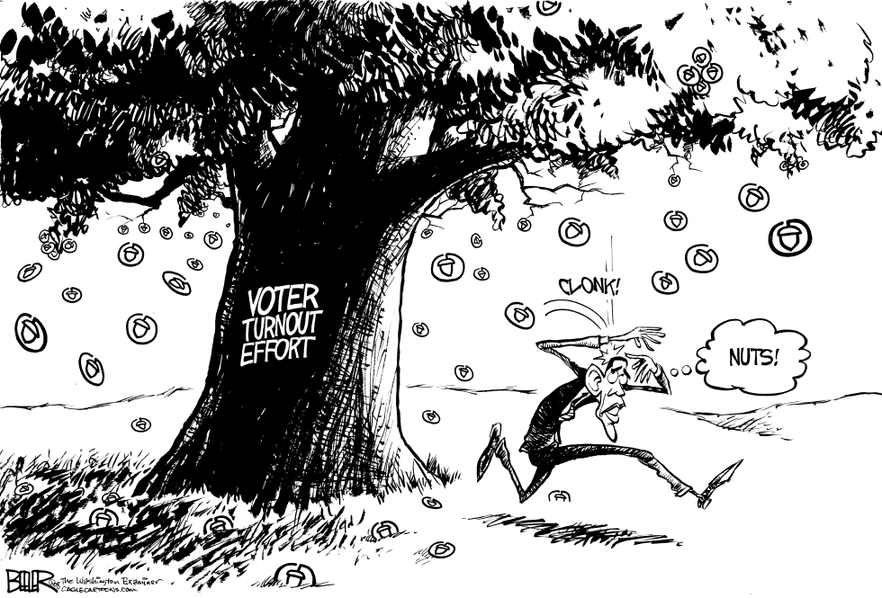 Barack Obama and Acorn