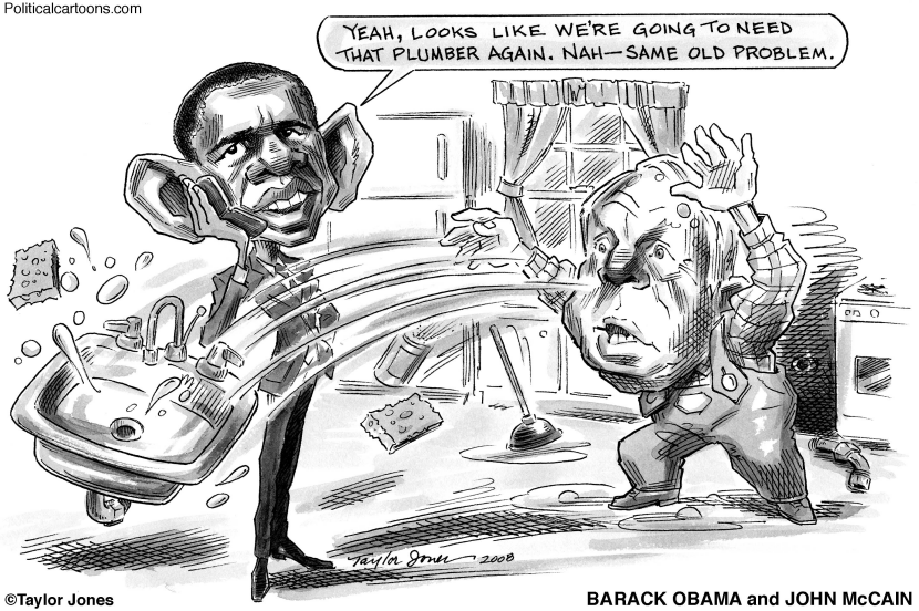 Obama, McCain and Kitchen Sink
