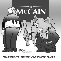 MCCAIN COATTAILS by R.J. Matson
