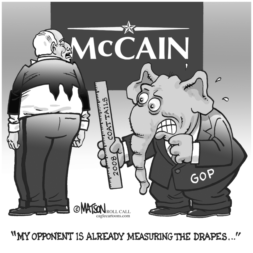 McCain Coattails