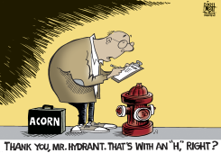 ACORN,  by Randy Bish