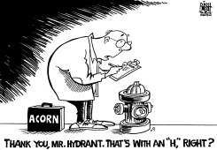 ACORN, B/W by Randy Bish