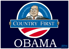 COLIN POWELL ENDORSEMENT by R.J. Matson