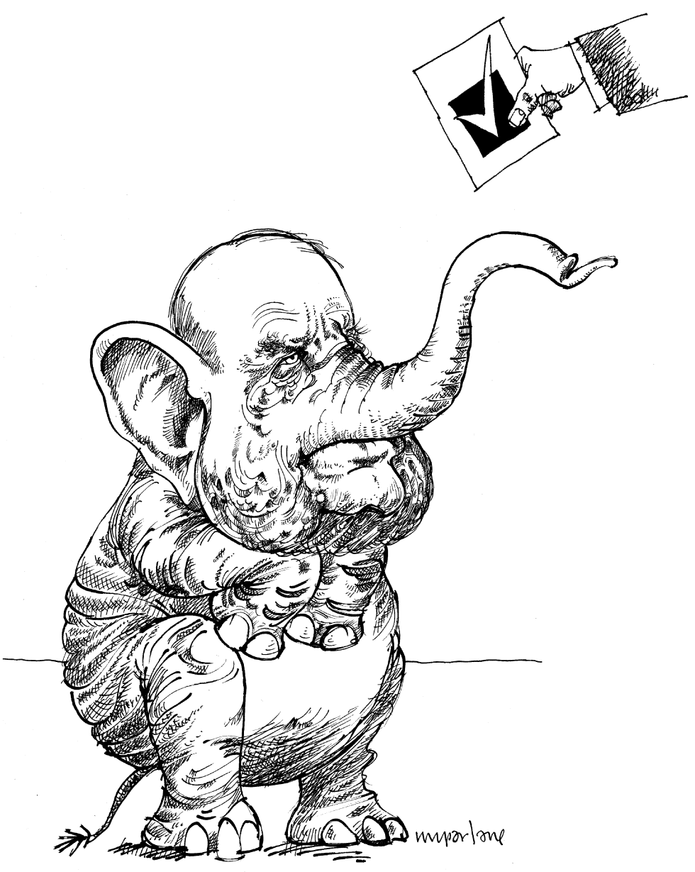 McCain on the Offensive