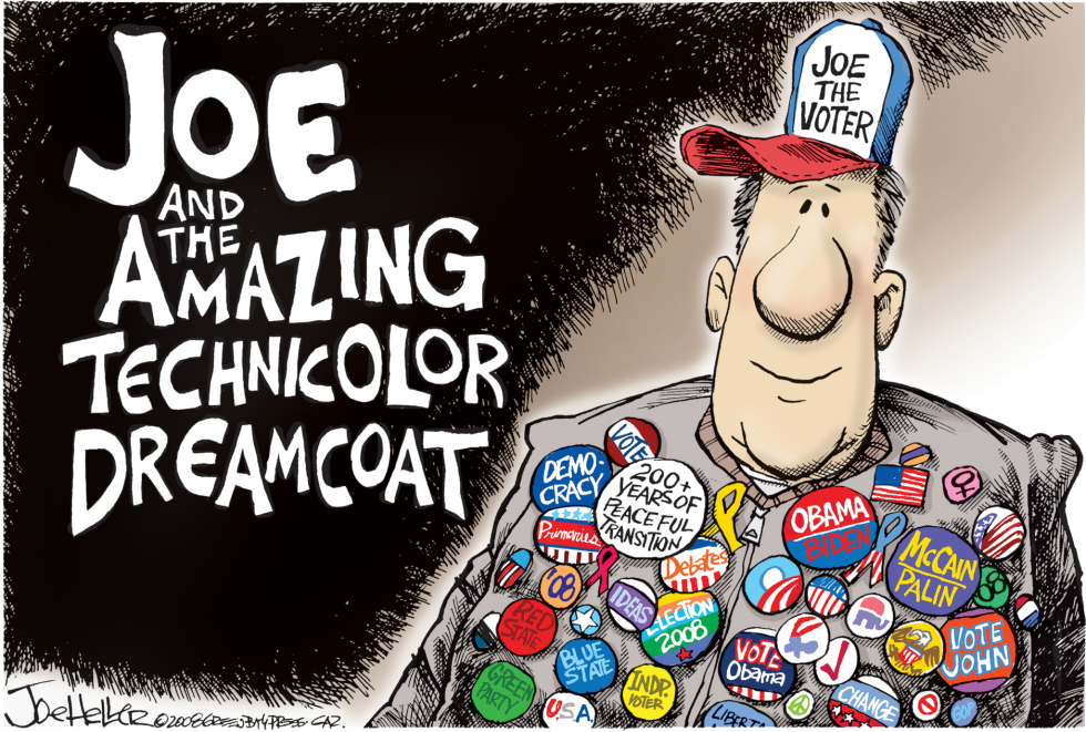 Joe the Voter
