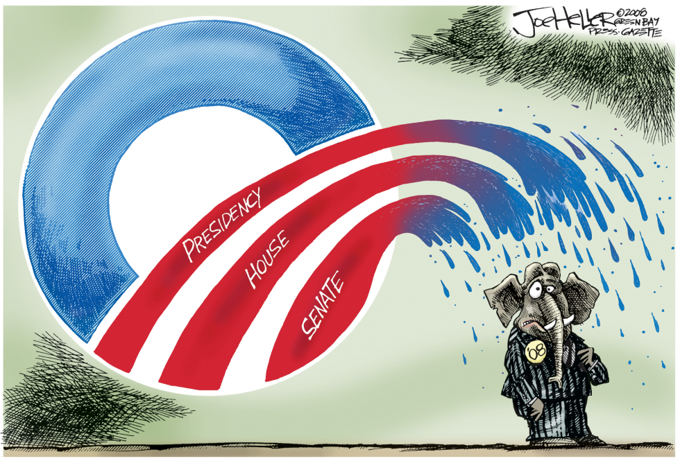 Obama Tsunami