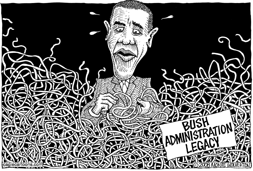 Untangling the Bush