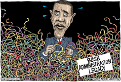 UNTANGLING THE BUSH  by Monte Wolverton