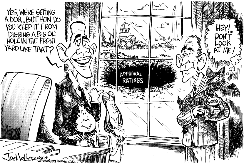 Bush Approval Rating