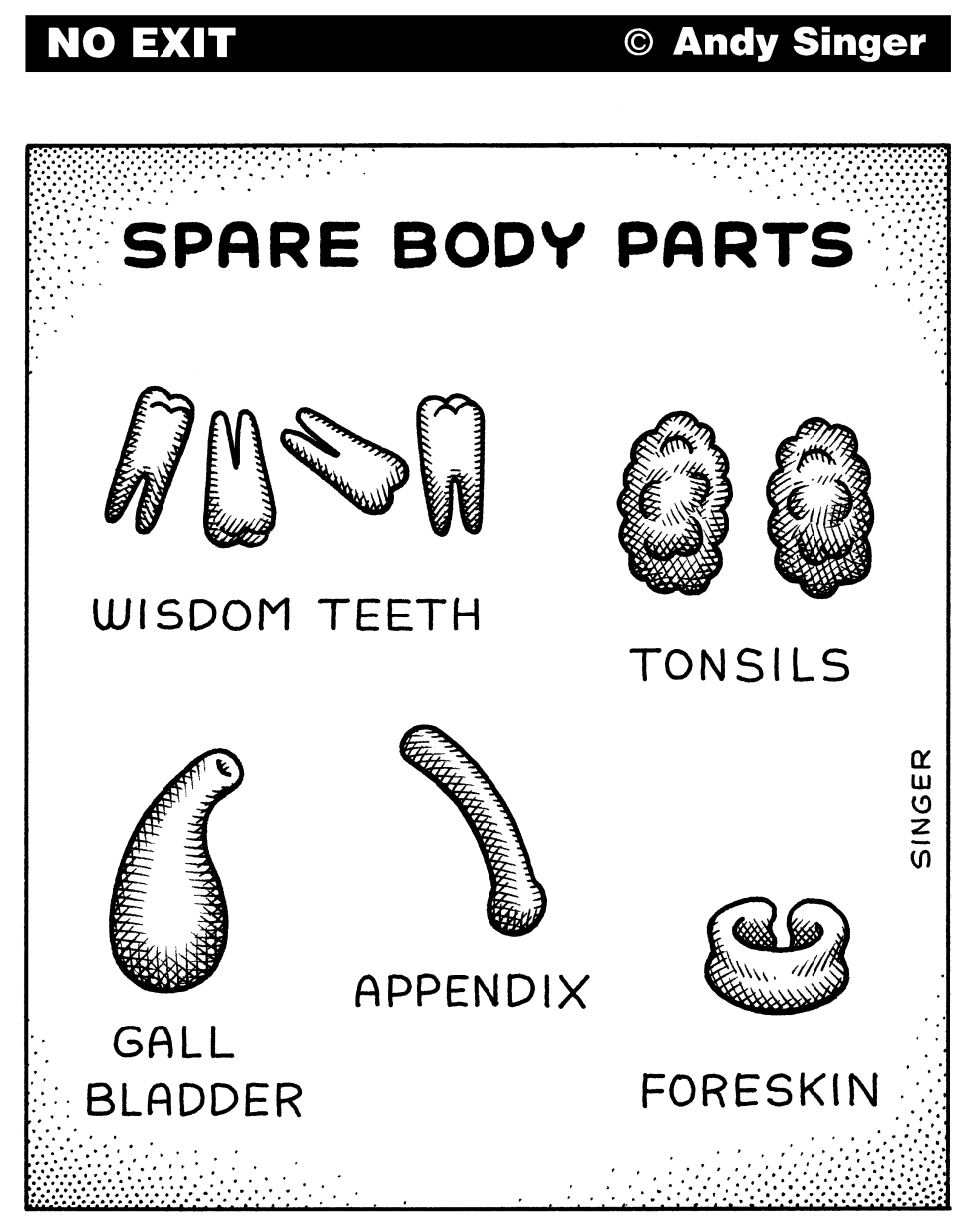 Spare Body Parts