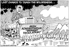 BUSH THE DESTROYER by Monte Wolverton