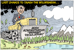 BUSH THE DESTROYER  by Monte Wolverton