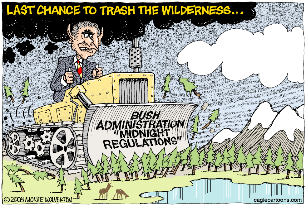 Bush the Destroyer COLOR