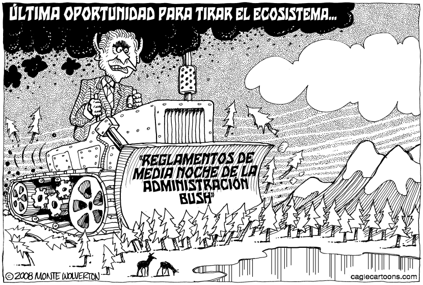 Bush el Destructor