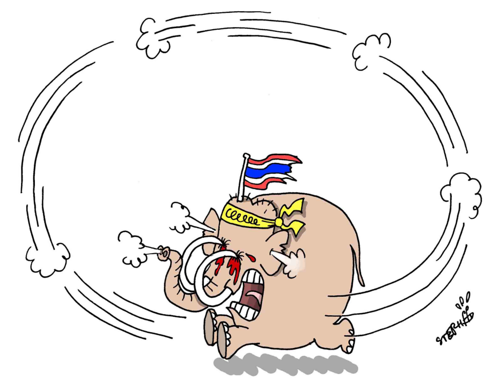 Blind and mad Thai elephant
