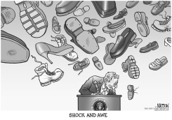 SHOCK AND AWE by R.J. Matson