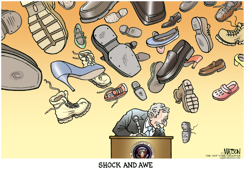 SHOCK AND AWE by R.J. Matson