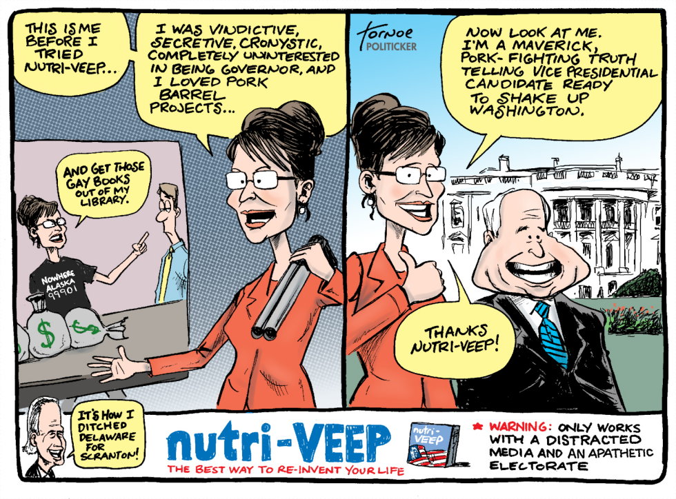 Sarah Palin Before and After