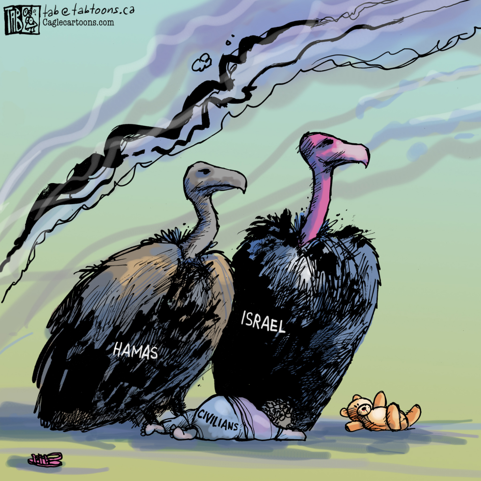 Middle Eastern Vultures COLOR