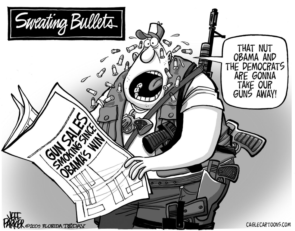 Pre- Inauguration Gun Sales Surge