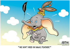 EARMARKS REFORM by R.J. Matson