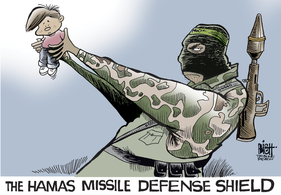 HAMAS SHIELD, COLOR