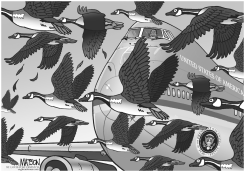 THE OBAMA ADMINISTRATION TAKES OFF by R.J. Matson