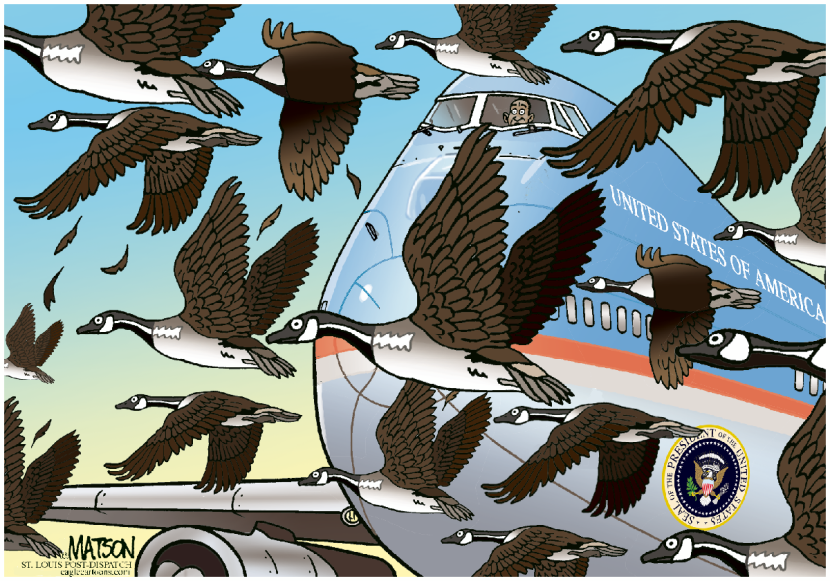 The Obama Administration Takes Off-COLOR