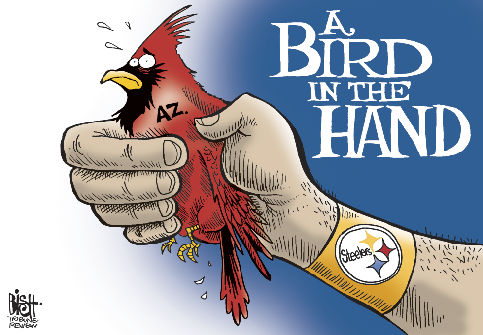 STEELERS VS CARDINALS, COLOR