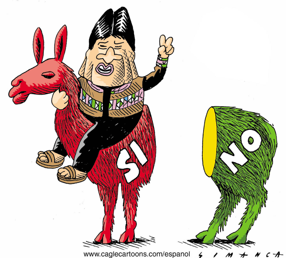 Referendum en Bolivia / COLOR