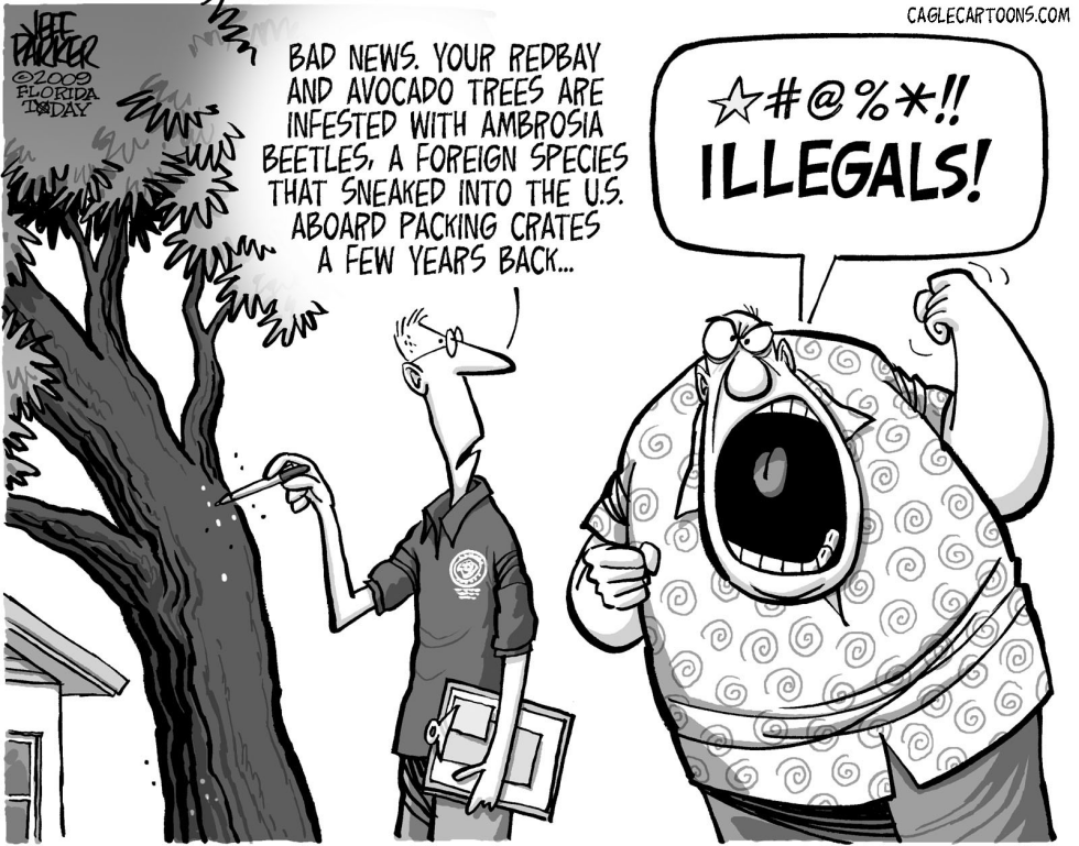LOCAL FL Illegal Alien Beetles