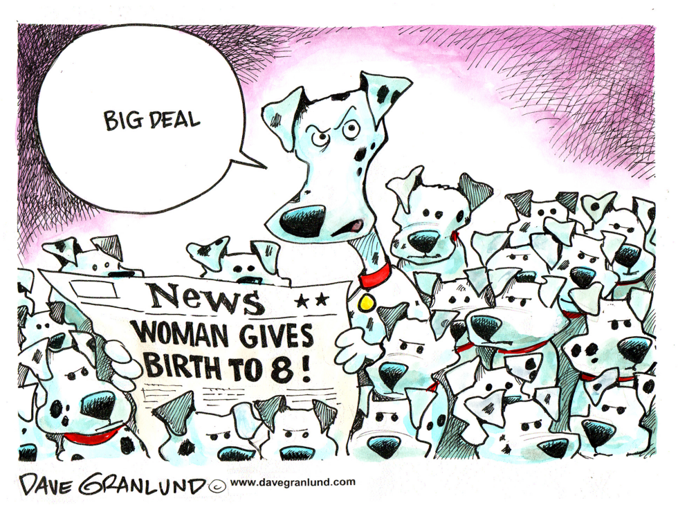  WOMAN HAS OCTUPLETS by Dave Granlund