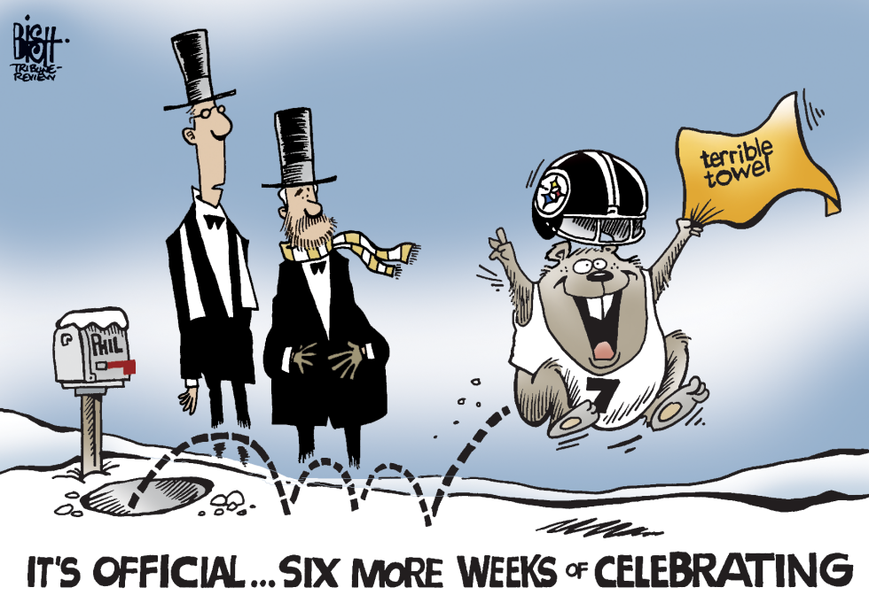 STEELERS CELEBRATION, COLOR