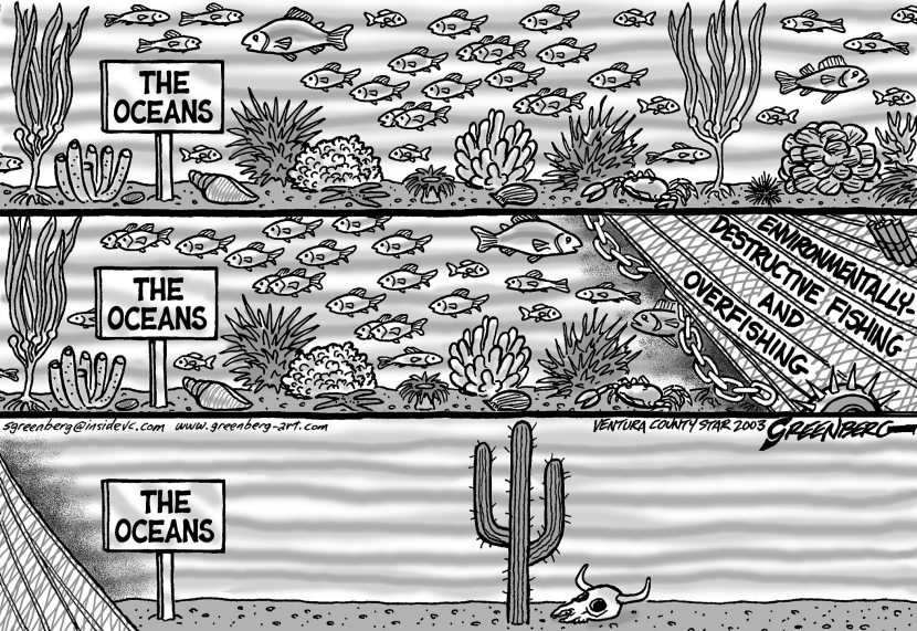 Overfishing