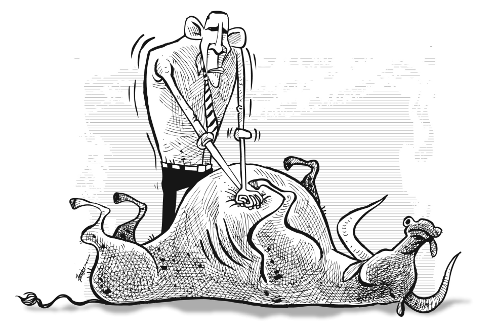 Resuscitating the Economy