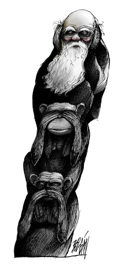 DARWIN2 / by Angel Boligan