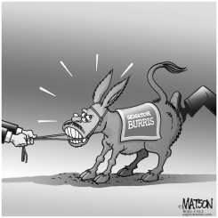 SENATOR BURRO by R.J. Matson