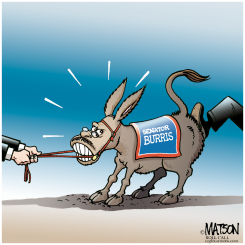 SENATOR BURRO by R.J. Matson